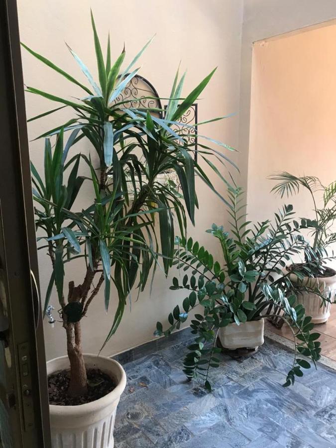 Casa Primavera- A 2 Km Do Thermas Dos Laranjais Olímpia Exteriör bild